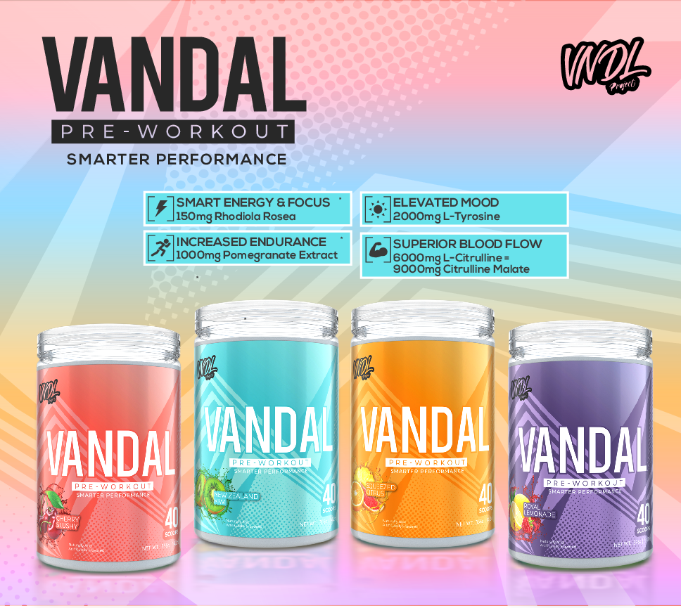VNDL Project VANDAL PreWorkout Canada's Supplement Store Buy